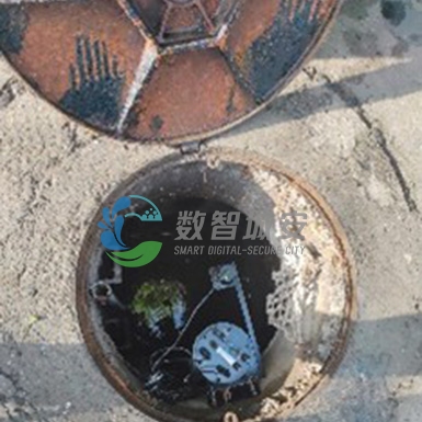 1749207275754098.png 智能采集终端机案例图1.png